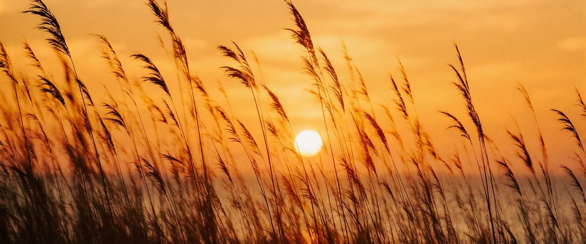 必赢亚洲PG电子