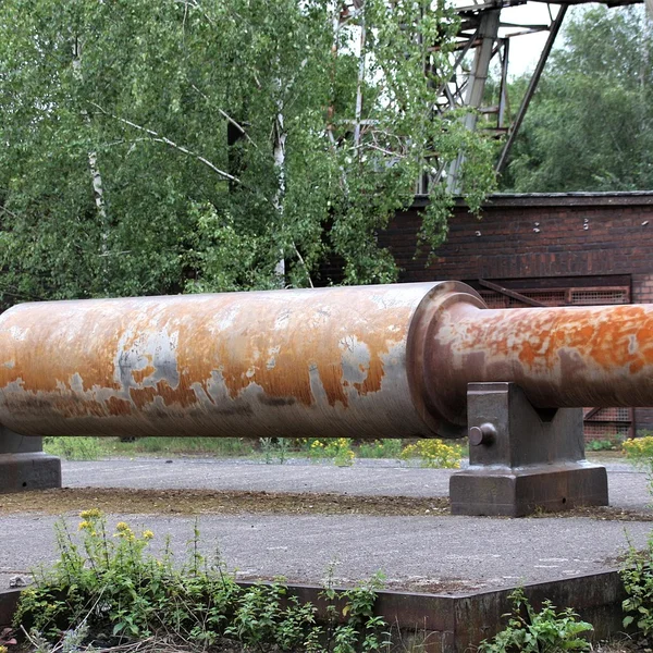 必赢亚洲老虎机